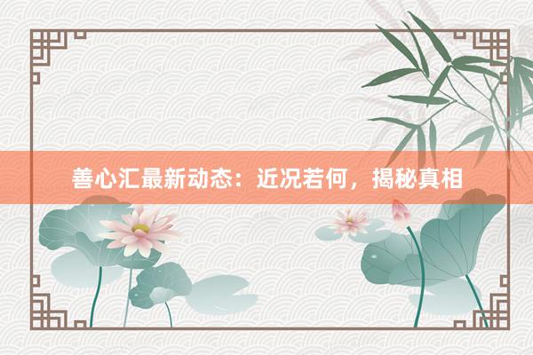 善心汇最新动态：近况若何，揭秘真相